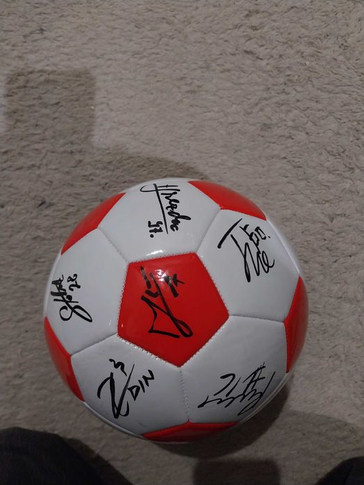 Minge semnata de toata echipa uta arad
