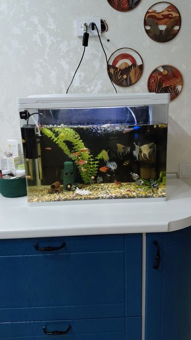 Аквариум все в комплекте
