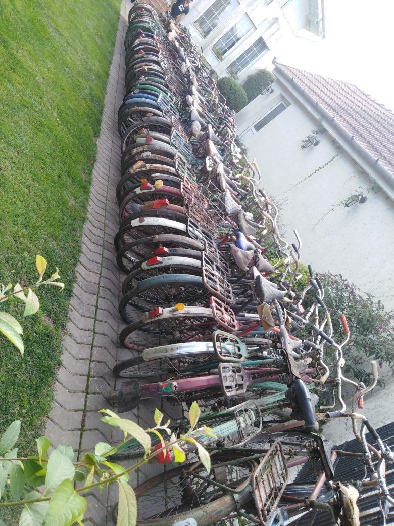 Colecție biciclete vechi