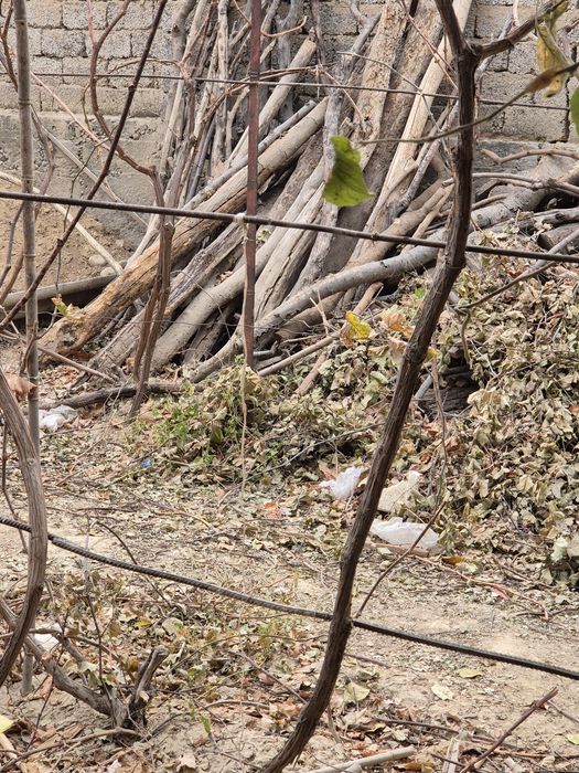 У'тин сотаман. Хар хил.