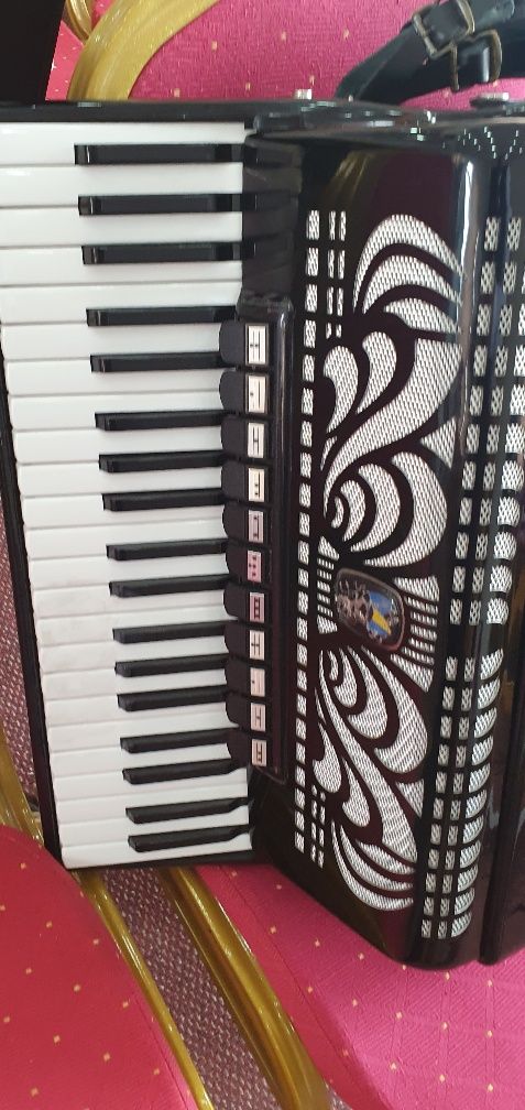 Vand accordeon  welmaister caprice 120 basi