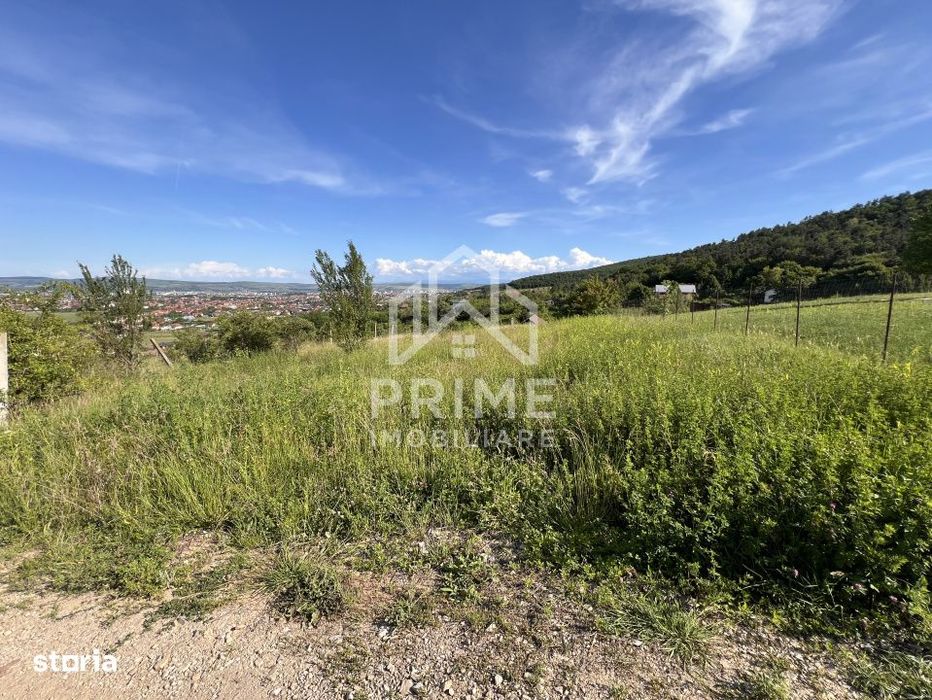 Teren Intravilan 972 Mp, Alba Micesti