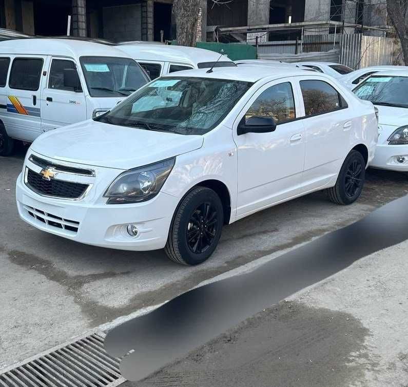 Cobalt midnight 2025
