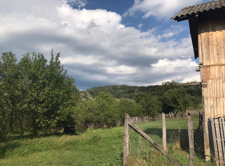 Teren intravilan, sat Catunu, comuna Drajna, Prahova