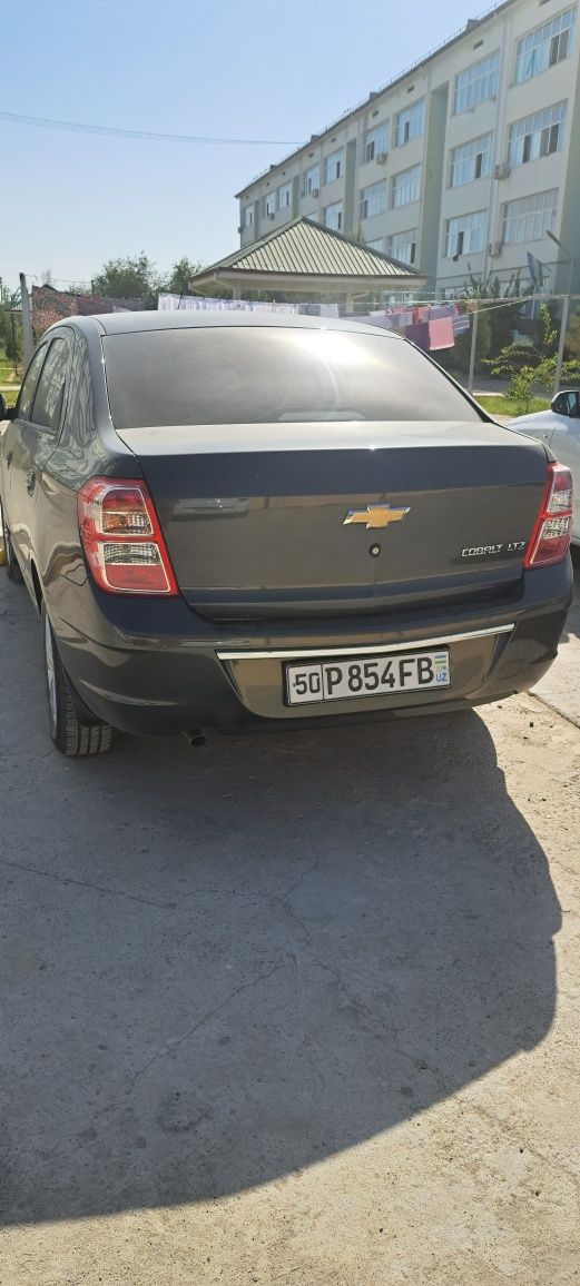 Мошина умуман азоб емаган