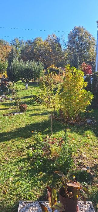 Vând teren intravilan