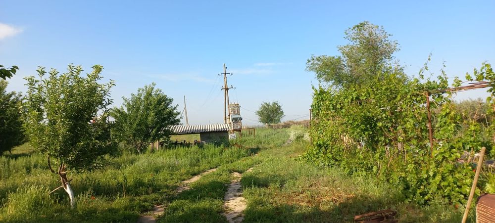 Ищем квартирантов