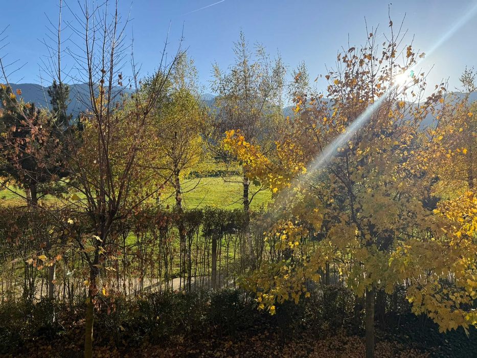 Там, където планината среща лукса – TERRA, твоето място за вдъхновение