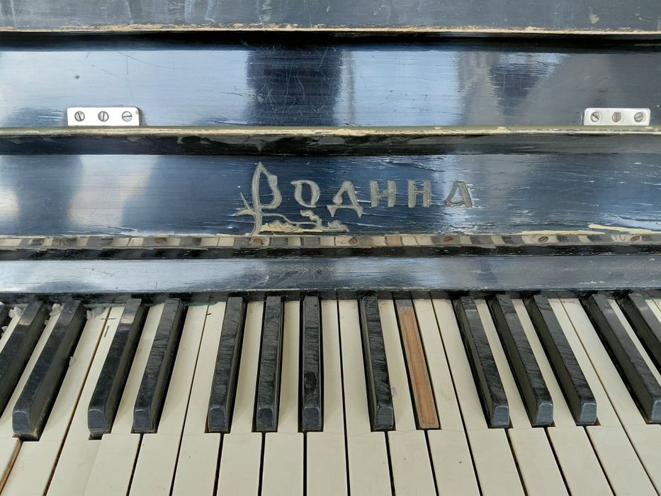 Пионина 2 шт советские