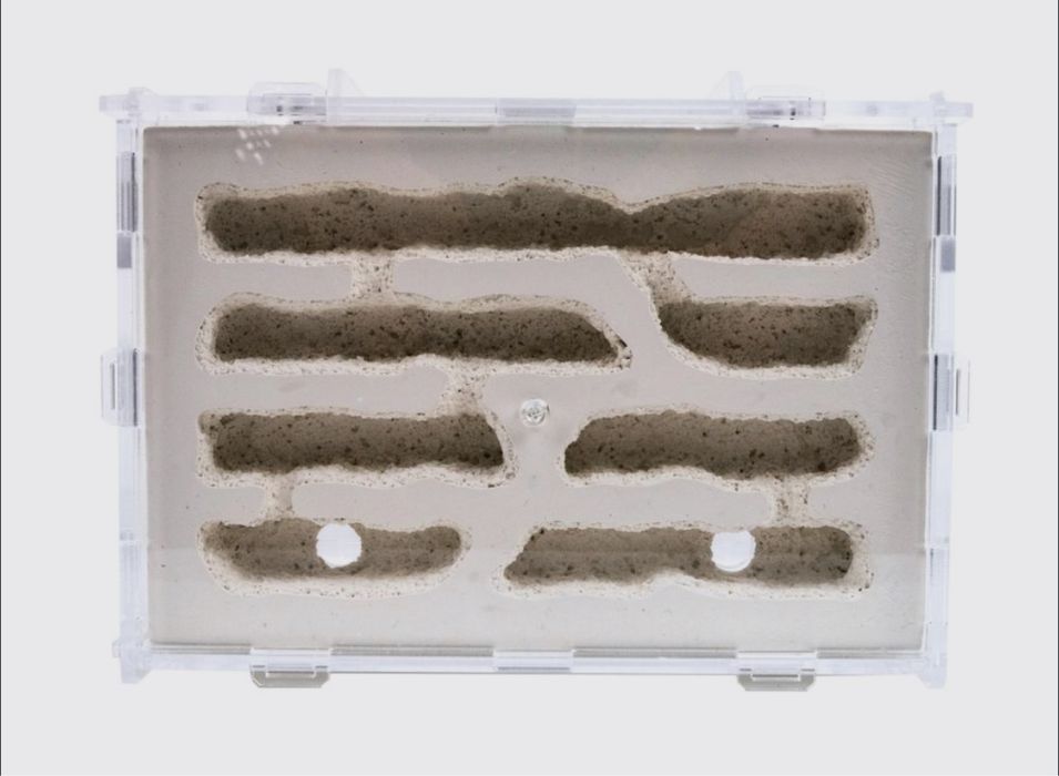 Формикарий Белый дом