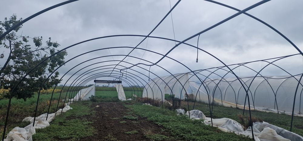 Arcuri solarii sau sere Maramures