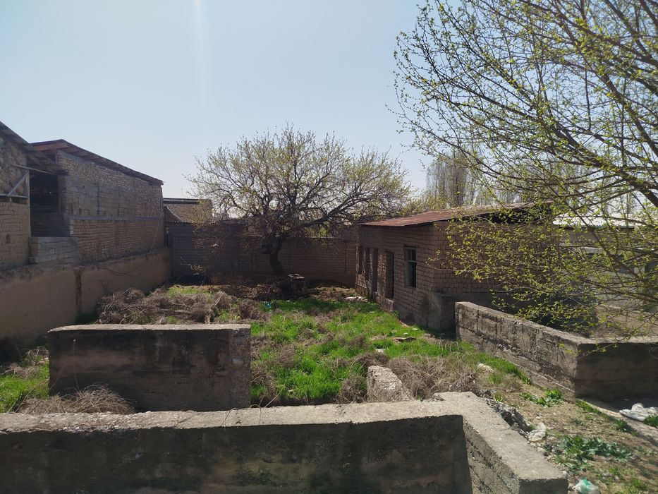 Nazarbek tarnov 5 soʻtix