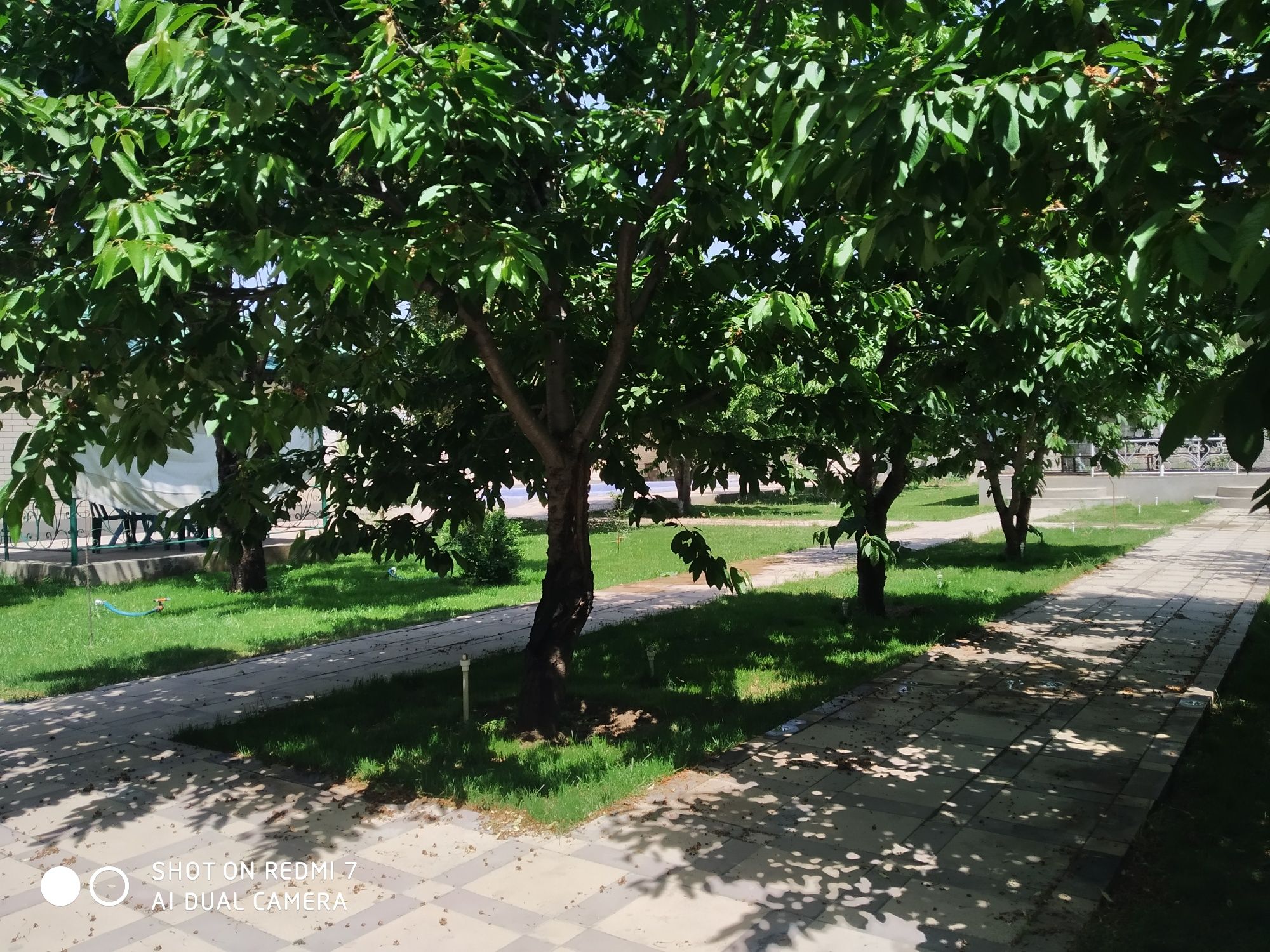 Dacha faqat Oilavilar uchun