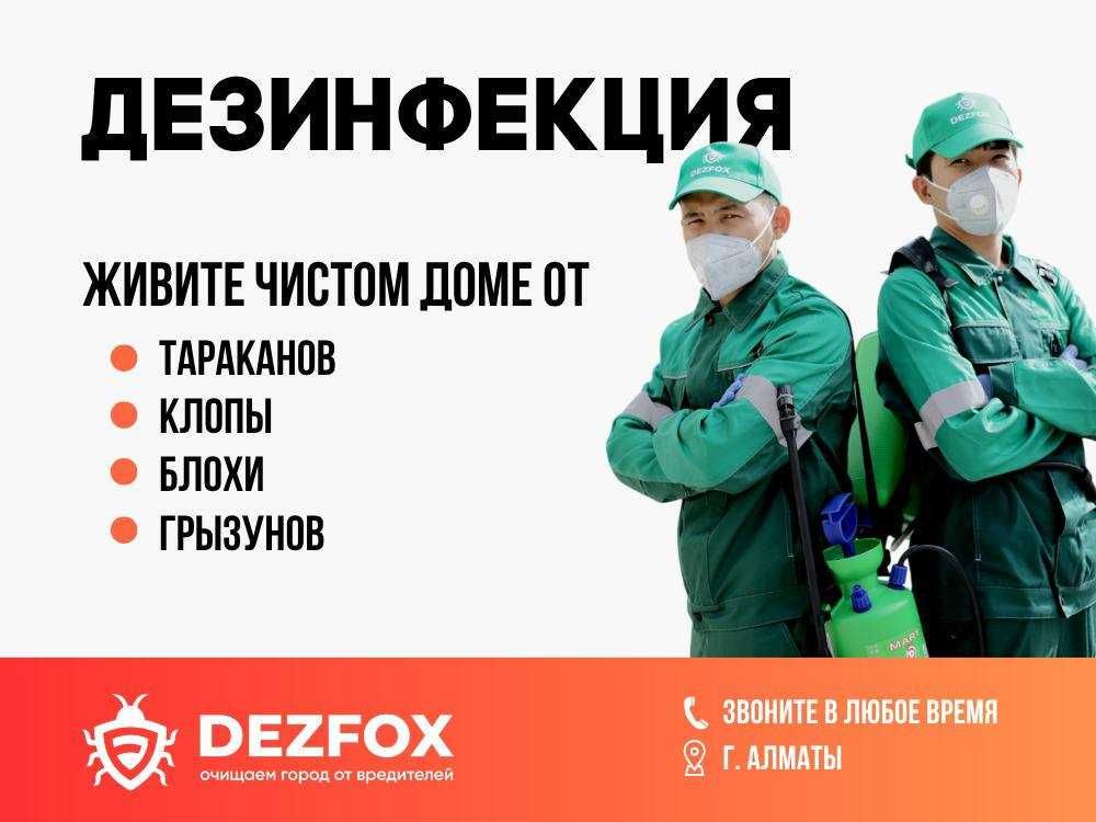 Дезинфексия Уничтожение Клопов Обработка От Тараканов Крыс Мышей