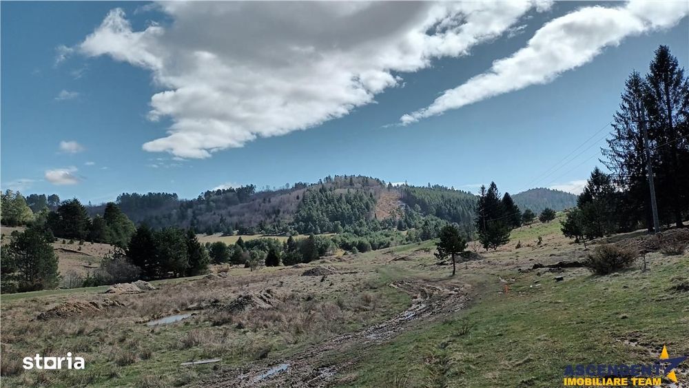 Teren cu ape curgatoare, in zona de poveste, Zarnesti, Brasov