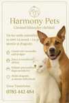 Cazare și Îngrijire Animale – Harmony Pets, zona Tineretului