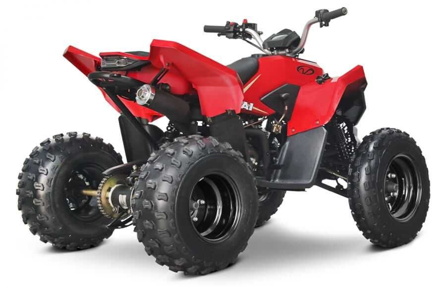 Atv copii LINHAI 110 nou 0 km - in stoc EST BIKE Campina
