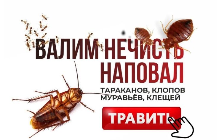 Уничтожение всех видов насекомых, СЭС