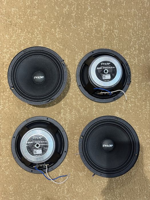 Pride rybi voice ver 2, 150w номинал