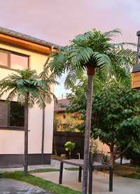 Palmierii artificiali decorativi set de 35de funze 3, 5m