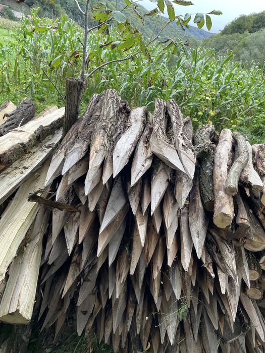 Vând stalpi de gard