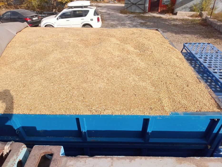 Ячмень,Арпа мешок продам сатылады каппен кырык кг,м.  Доставка Есть