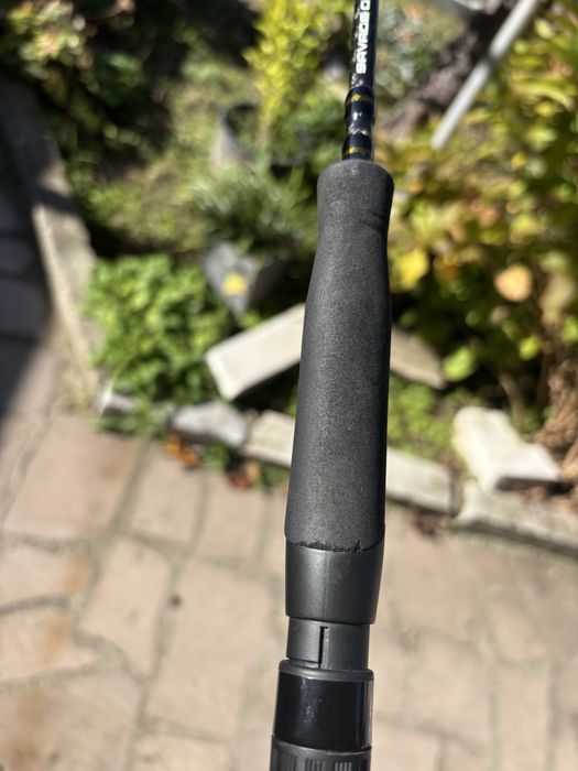 Спининг въдица за лайт риболов