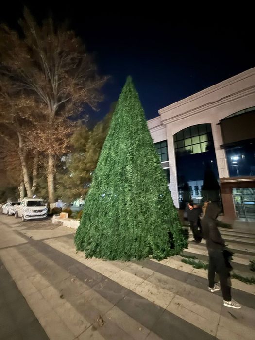 Янги Йил Арчаси Тошкент шахар ва Вилоятларгача