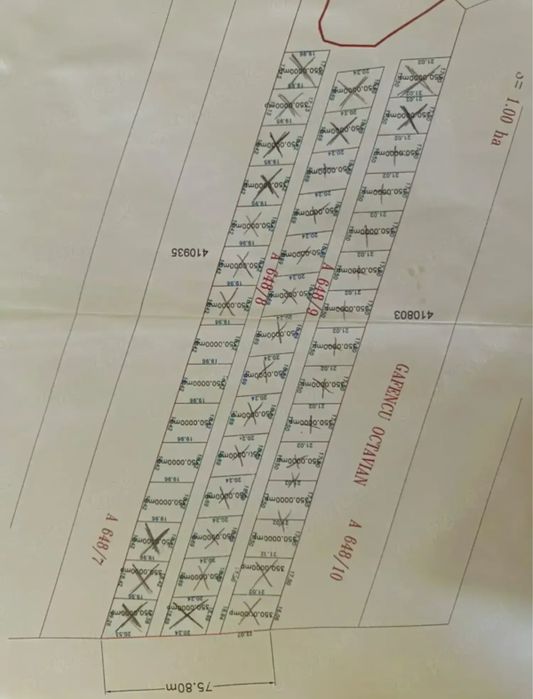 Teren cu potential gata să devină acasă” in Lugoj