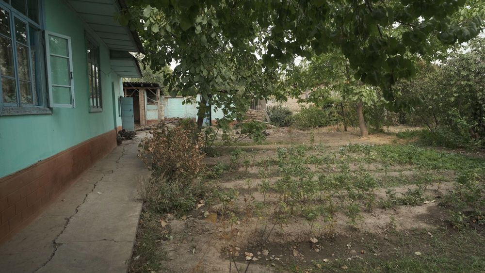 Ховли Уй сотилади! Ойим Ихлос кучаси