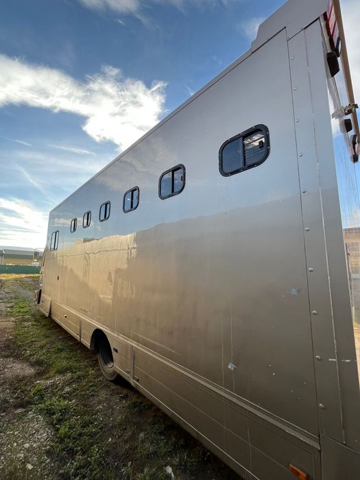 Man M02 Camion transport pentru 6 cai si dormitor 2 locuri