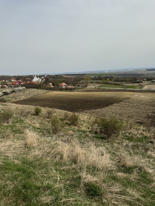 Teren de vanzare aiton Teren intravilan aiton 2900 m2