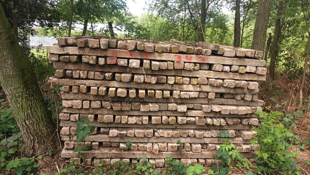 Spalieri din defrișări depozitați foarte aproape de ploiesti