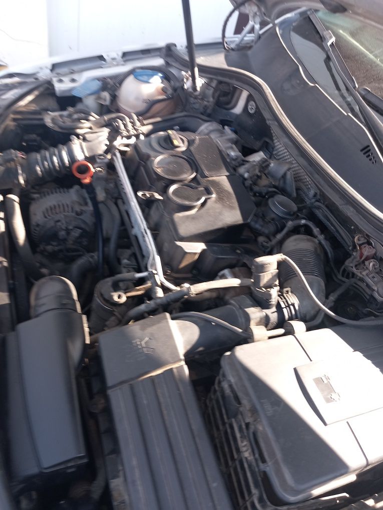 Motor fara anexe Volkswagen Passat B6 (3C2) 1.9 TDI BLS