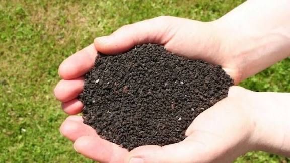 Biogomus Биогомус