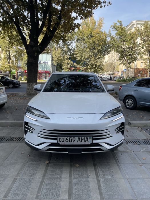 Byd Champion гибрид