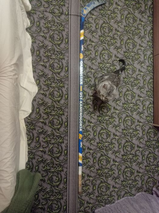 Хоккейная клюшка