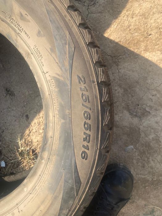 Шина зимний 16 размер