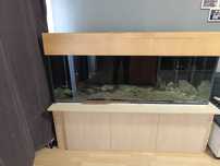 acvariu 500l 160x60x60