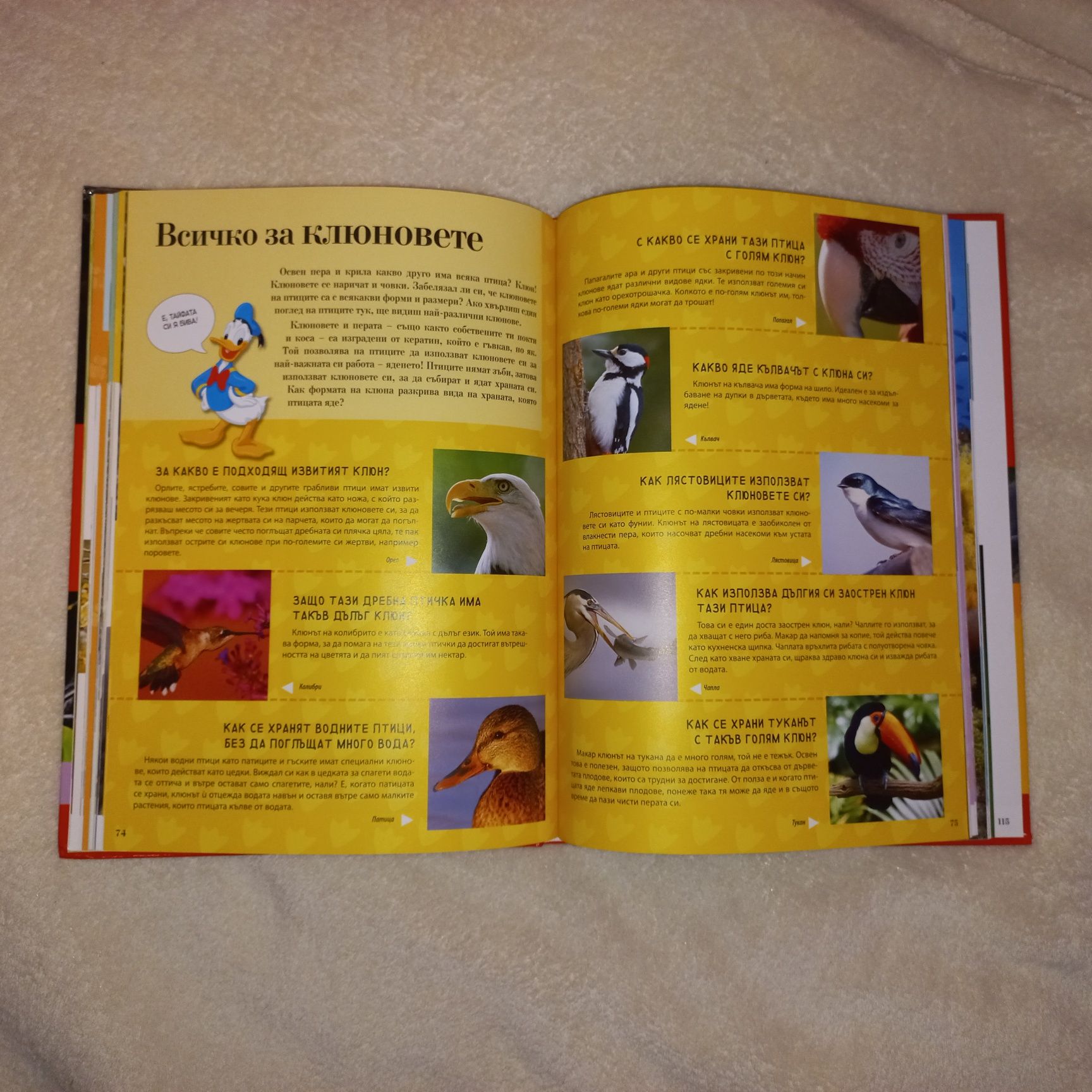 Детски енциклопедии