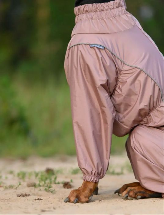 Костюм для собак