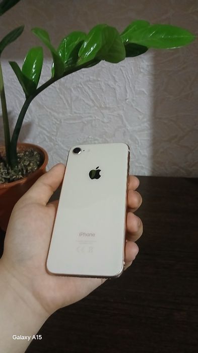 iPhone 8 64gb без гарантии
