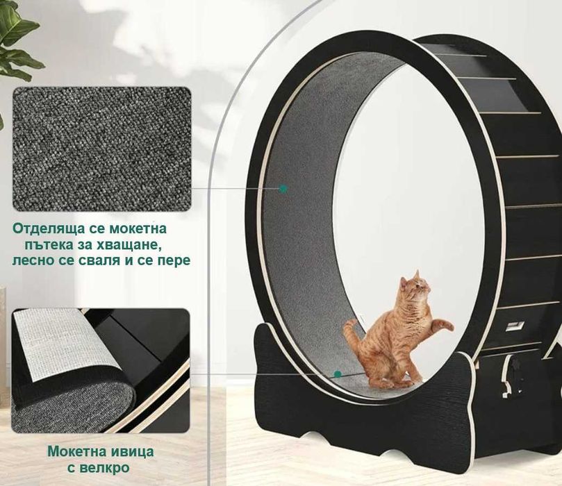 НОВО! XL КОТЕШКО КОЛЕЛО за бягане, игра и тренировка, 299лв.