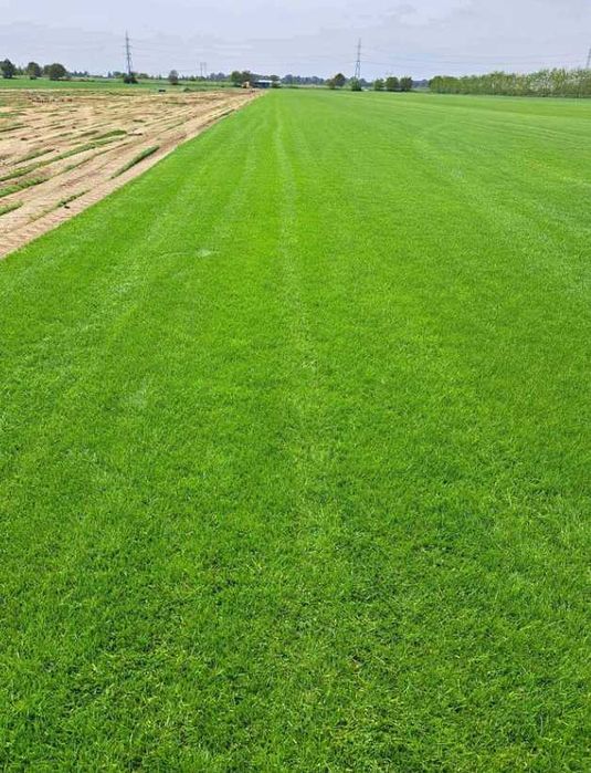 Gazon Rulou Sisteme de Irigare