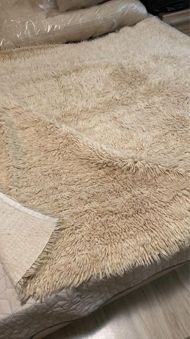 Китеници различни размери