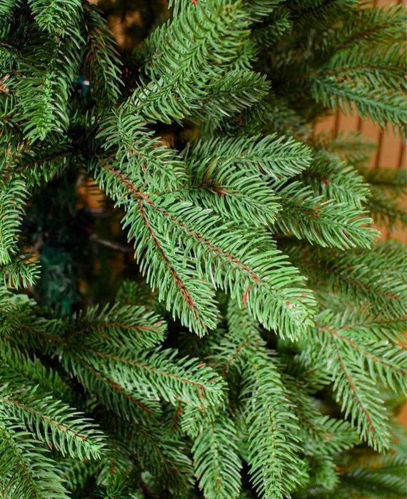 Qorli archa. Dostavka bepul.