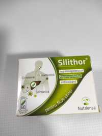 Silithor Protector Ficat