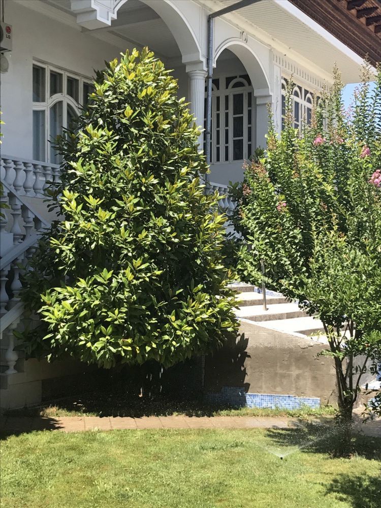 Продается шикарный 2 этажный дом для семьи в Учтепинском районе
