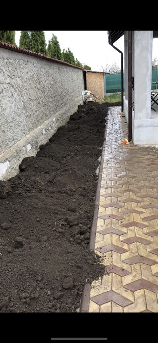 Pamant negru ( de gazon)