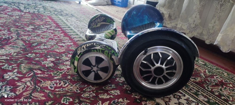 Sigvey 2ta holati orta